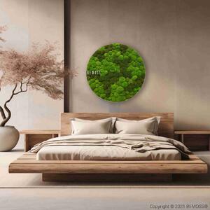 Machový obraz kruh BOLMOSS DUO Light Green XXL - Priemer 100 cm