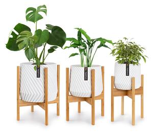 Fox & Fern Zeist stojan na rastliny, súprava 3 kusov, 2 výšky, kombinovateľné, zásuvný dizajn, prírodné