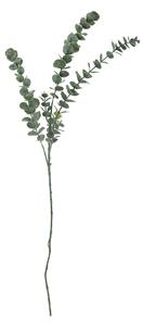 Umelá kvetina Eucalyptus Green 76 cm
