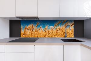 DIMEX | Dibond doska za kuchynskú linku | DBW-18060-011 Pole pšenice | 180 x 60 cm