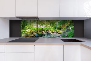 DIMEX | Dibond doska za kuchynskú linku | DBW-18060-134 Botanická záhrada | 180 x 60 cm