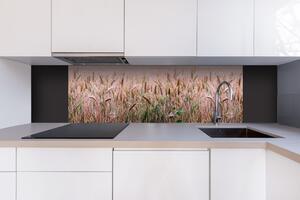 DIMEX | Dibond doska za kuchynskú linku | DBW-18060-136 Pšeničné pole | 180 x 60 cm