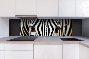 DIMEX | Dibond doska za kuchynskú linku | DBW-18060-016 Zebra | 180 x 60 cm