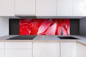 DIMEX | Dibond doska za kuchynskú linku | DBW-18060-056 Červené okvetné lístky | 180 x 60 cm