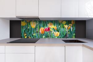 DIMEX | Dibond doska za kuchynskú linku | DBW-18060-122 Jarné kvety | 180 x 60 cm