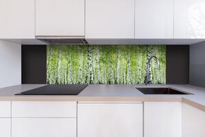 DIMEX | Dibond doska za kuchynskú linku | DBW-18060-193 Jarný brezový háj | 180 x 60 cm