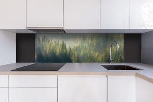 DIMEX | Dibond doska za kuchynskú linku | DBW-18060-194 Zahmlený les | 180 x 60 cm
