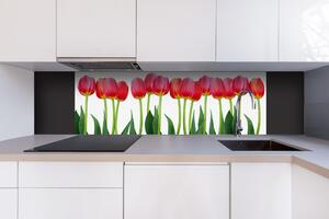DIMEX | Dibond doska za kuchynskú linku | DBW-18060-058 Tulipány | 180 x 60 cm