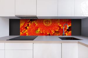DIMEX | Dibond doska za kuchynskú linku | DBW-18060-059 Gerbera | 180 x 60 cm