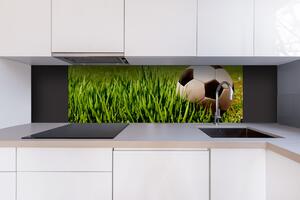 DIMEX | Dibond doska za kuchynskú linku | DBW-18060-038 Futbalová lopta | 180 x 60 cm
