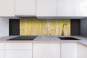DIMEX | Dibond doska za kuchynskú linku | DBW-18060-197 Žltý brezový háj | 180 x 60 cm