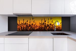 DIMEX | Dibond doska za kuchynskú linku | DBW-18060-128 Západ slnka | 180 x 60 cm