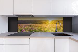 DIMEX | Dibond doska za kuchynskú linku | DBW-18060-201 Slnečné lúče nad lúkou | 180 x 60 cm