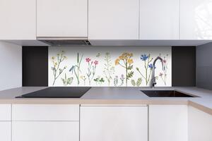DIMEX | Dibond doska za kuchynskú linku | DBW-18060-219 Kresba z herbára | 180 x 60 cm