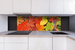 DIMEX | Dibond doska za kuchynskú linku | DBW-18060-027 Listy | 180 x 60 cm