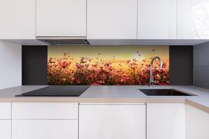 DIMEX | Dibond doska za kuchynskú linku | DBW-18060-130 Kvetinové pole | 180 x 60 cm