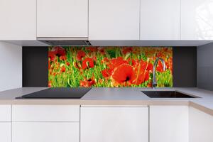 DIMEX | Dibond doska za kuchynskú linku | DBW-18060-028 Červené vlčie maky | 180 x 60 cm