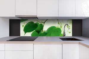 DIMEX | Dibond doska za kuchynskú linku | DBW-18060-010 Zelené listy | 180 x 60 cm