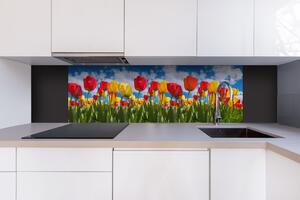 DIMEX | Dibond doska za kuchynskú linku | DBW-18060-131 Pole tulipánov | 180 x 60 cm