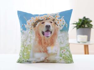 Obliečka na vankúšik 40 × 40 cm – Zlatý Retríver Amálka