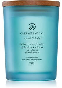 Chesapeake Bay Candle Mind & Body Reflection & Clarity vonná sviečka 250 g