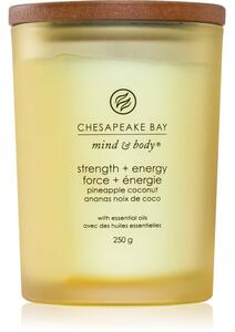 Chesapeake Bay Candle Mind & Body Strength & Energy vonná sviečka 250 g