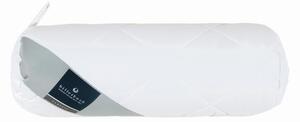 TVAROVANÝ VANKÚŠ 15/40 cm Billerbeck - Matrace