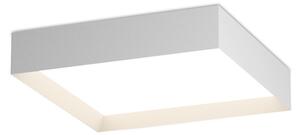 Stropné svietidlo Milo 40 3000K/4000 K biela