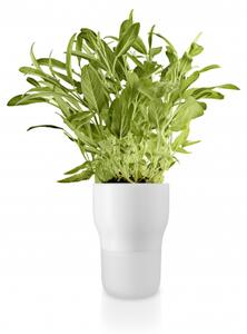 Samozavlažovací kvetináč na bylinky biely