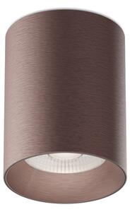 Stropné svietidlo Tiny II M Cf 3000K/3500K/4000 K – Hnedá