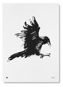 Plagát Raven veľký 50x70 cm