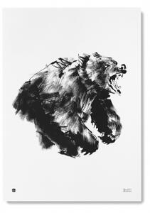 Plagát Medveď veľký 50x70 cm