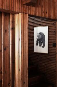 Plagát Nežný medveď veľký 50x70 cm