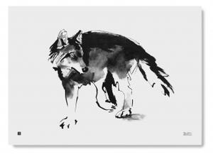 Plagát Wolf veľký 50x70 cm