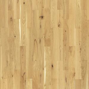 Artisan Cottage Dub Kirkwall Markant Lak 4V 5Gc