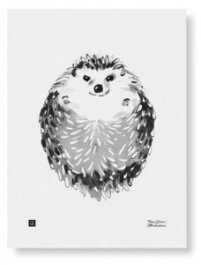 Plagát Hedgehog 30x40 cm