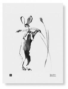 Plagát Hare in Harvest Time 30x40 cm