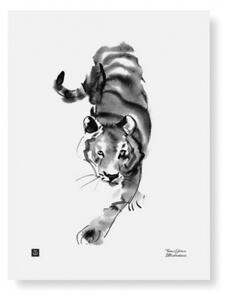 Plagát Sneaking Tiger 30x40 cm