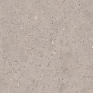 Dlažba Pastorelli Biophilic grey 80x80 cm mat P009419