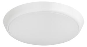 STROPNÉ LED SVIETIDLO, 25,5/4,3 cm Eglo - Online Only bytové doplnky, Online Only