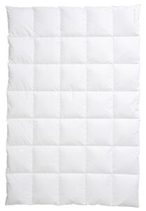 CELOROČNÁ PRIKRÝVKA, 155/220 cm, perie, páperie Centa-Star - Prikrývky & vankúše, Online Only
