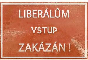 Liberálům vstup zakázán - ceduľa 30cm x 20cm Plechová tabuľa
