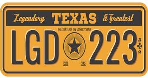 Ceduľa USA značky - Texas 30,5cm x 15,5cm Plechová tabuľa