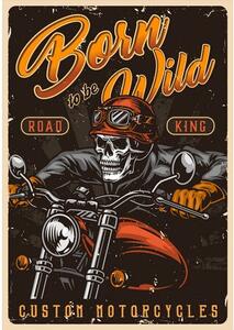Ceduľa Motorcycles - Born To be Wild Vintage style 30cm x 20cm Plechová tabuľa