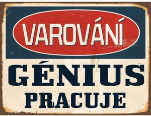 Ceduľa Varování - Génius Pracuje Vintage style 30cm x 20cm Plechová tabuľa