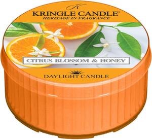 Kringle Candle Strawberries & Cream čajová sviečka 42 g
