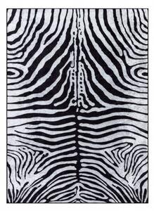 Dywany Łuszczów Kusový koberec Miro 51331.803 Zebra black / white - 120x170 cm