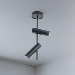 Stropné bodové svetlá Leda 2, antracit, 2-pl., oceľ, výška 55 cm, Čierna, Obývacia izba / jedáleň, kov, Moderný, Stropné svetlo