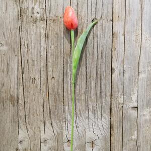 Tulipán oranžový jemne bielený 42cm cena za 1ks