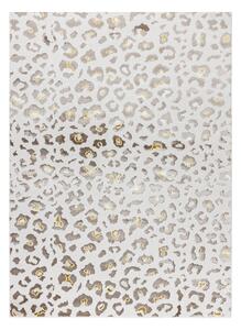Dywany Łuszczów , Kusový koberec Bliss Z232AZ128 cream/beige, 120x170, béžová, kancelária